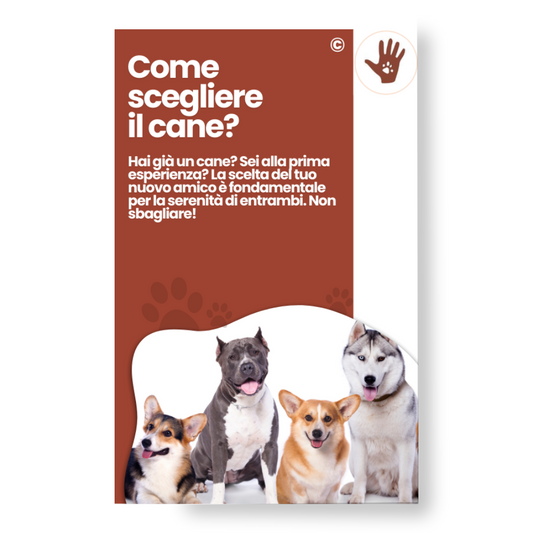 Come scegliere il cane