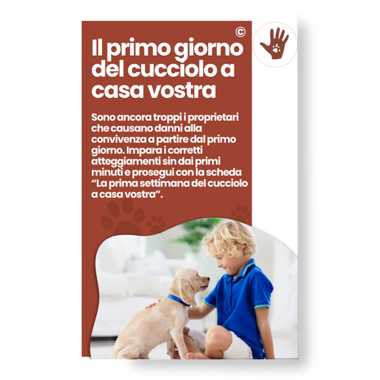 Il primo giorno del cucciolo a casa vostra